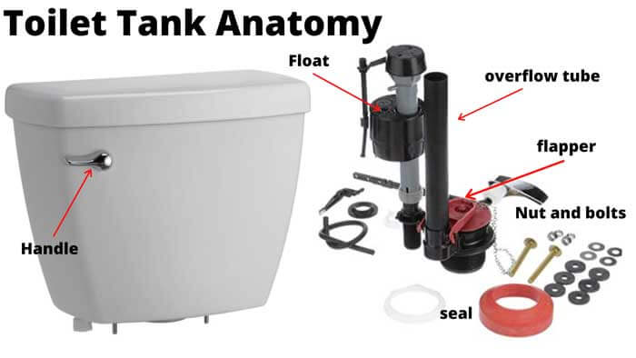 Parts Of A Toilet Tank Toilet Tank Anatomy Twimbow