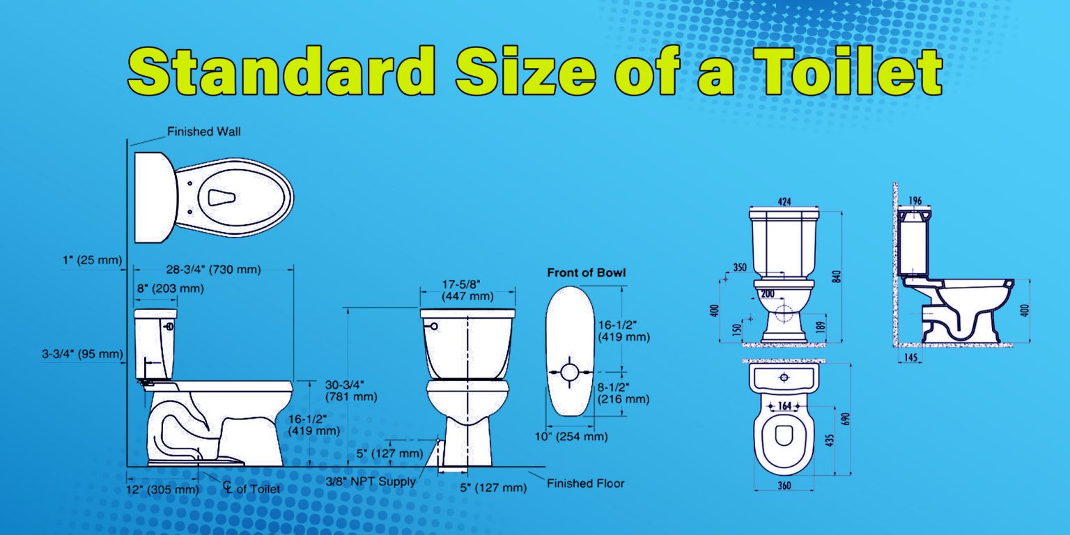 Standard Size Of Toilet Paper